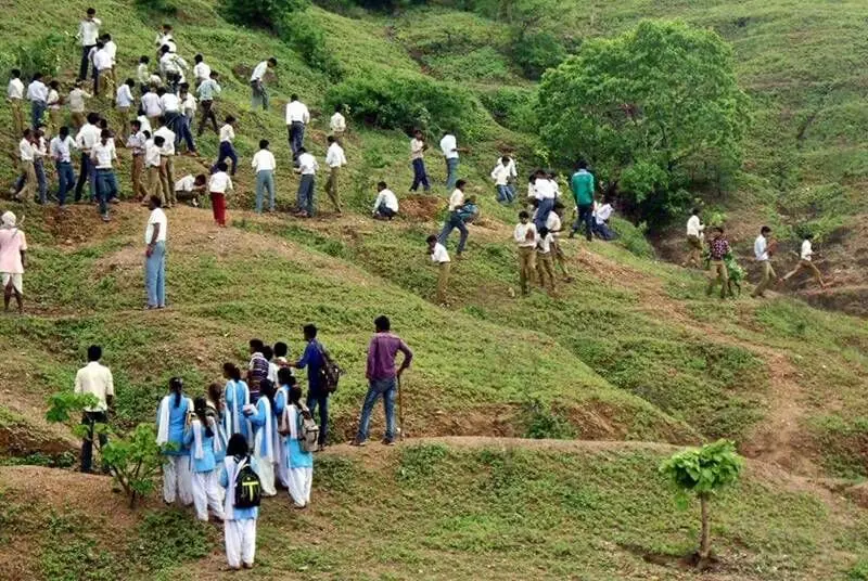 The village, which lies about 60 kilometres from the district headquarters of Panna, is in the news for its people-driven initiative of re-greening 142 hectares of barren hill slopes that over a span of 15 years is home to a forest.
The village, which lies about 60 kilometres from the district headquarters of Panna, is in the news for its people-driven initiative of re-greening 142 hectares of barren hill slopes that over a span of 15 years is home to a forest.