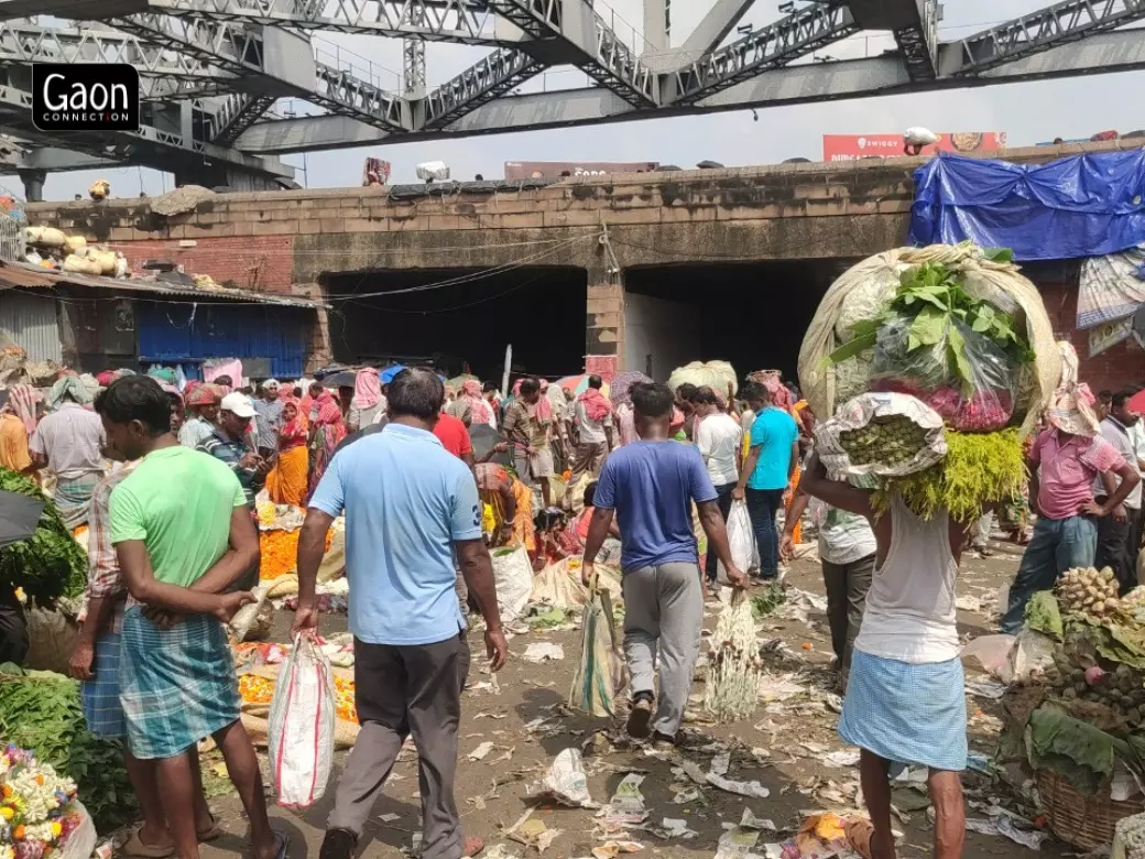 Farmers supply lotus to various states across the country during the festival. Farmers supply lotus to various states across the country during the festival.
