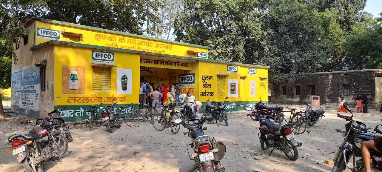 Farmers in Unnao are complaining of a shortage of DAP (di-ammonium phosphate that contains both nitrogen and phosphorus that are essential for plant nutrition) fertiliser, which is a must for sowing rabi season crops such as mustard, potatoes and wheat.
Farmers in Unnao are complaining of a shortage of DAP (di-ammonium phosphate that contains both nitrogen and phosphorus that are essential for plant nutrition) fertiliser, which is a must for sowing rabi season crops such as mustard, potatoes and wheat.