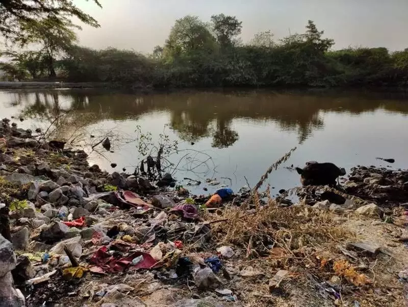 In the absence of a proper waste management system, when people just dump polythene bags and wrappers and it rains, the wastes travel down to the pond. In the absence of a proper waste management system, when people just dump polythene bags and wrappers and it rains, the wastes travel down to the pond.