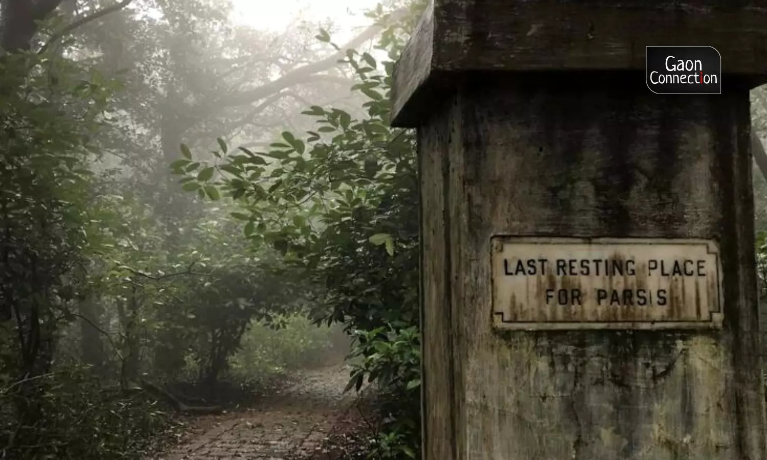 At the far end of the hill station, deep inside the wood, lies a red cottage, part of the 125-year-old heritage property. At the far end of the hill station, deep inside the wood, lies a red cottage, part of the 125-year-old heritage property.