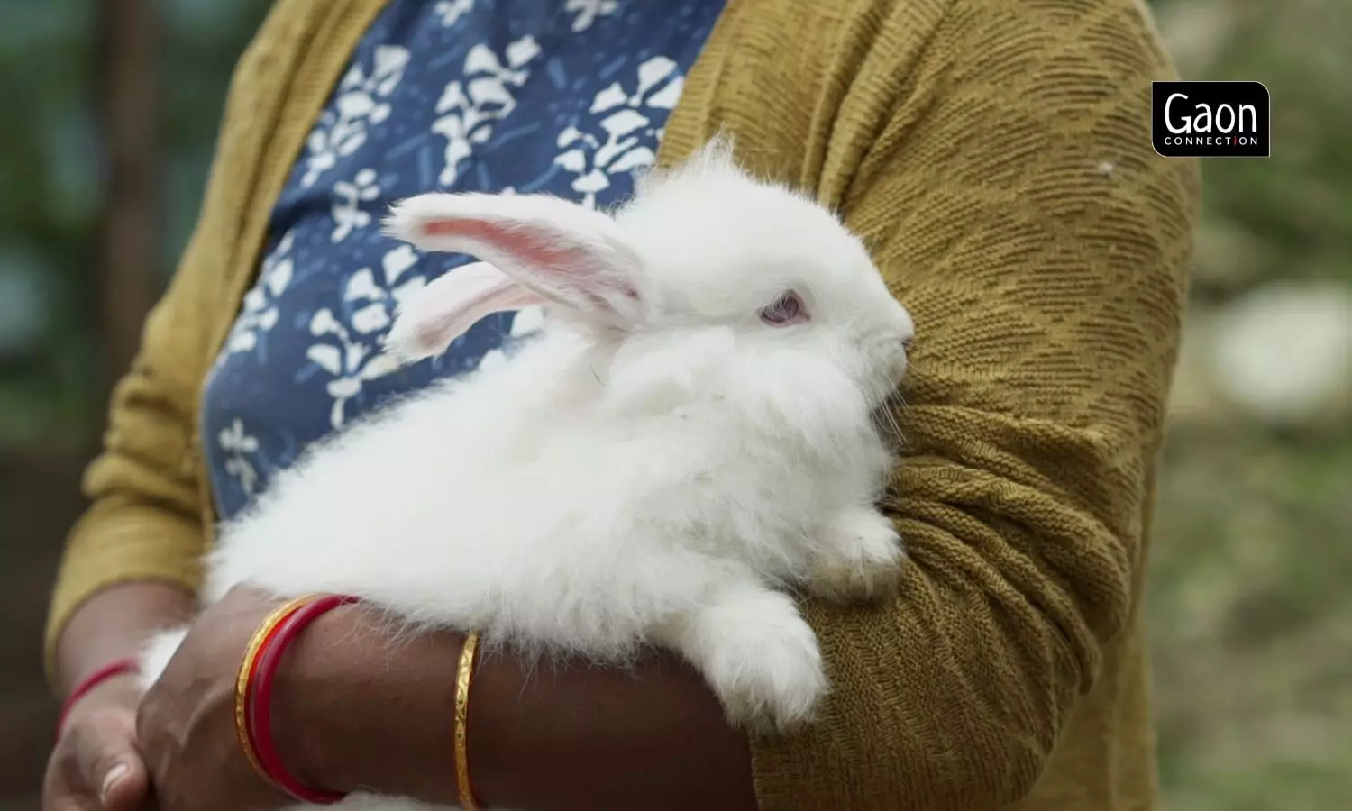 Farmers were given hands-on training on building hutches for the rabbits, on breeding dos and donts, and wool extraction. Farmers were given hands-on training on building hutches for the rabbits, on breeding dos and donts, and wool extraction.