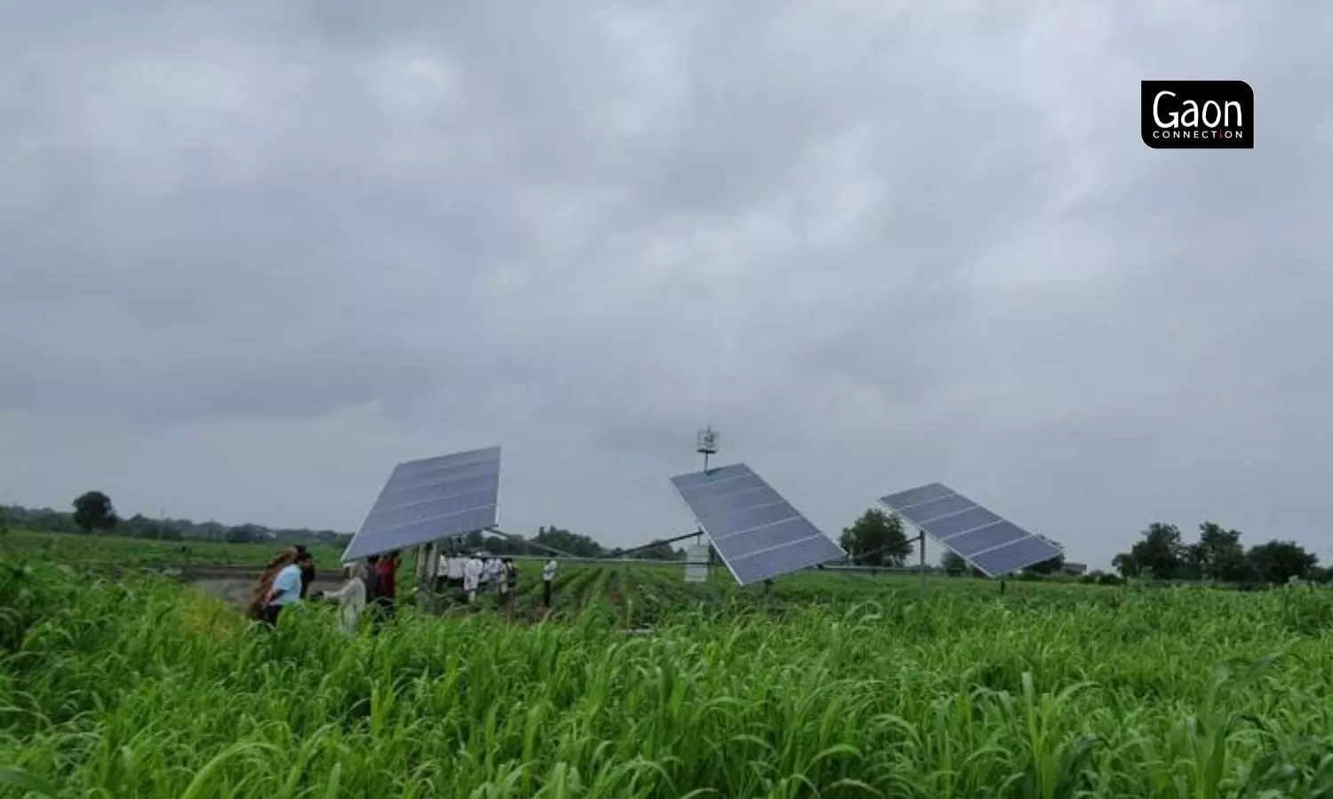 SwitchON Foundation is working with women farmers in West Bengal and offering them mini solar pumps that cost Rs 2 lakh only. SwitchON Foundation is working with women farmers in West Bengal and offering them mini solar pumps that cost Rs 2 lakh only.