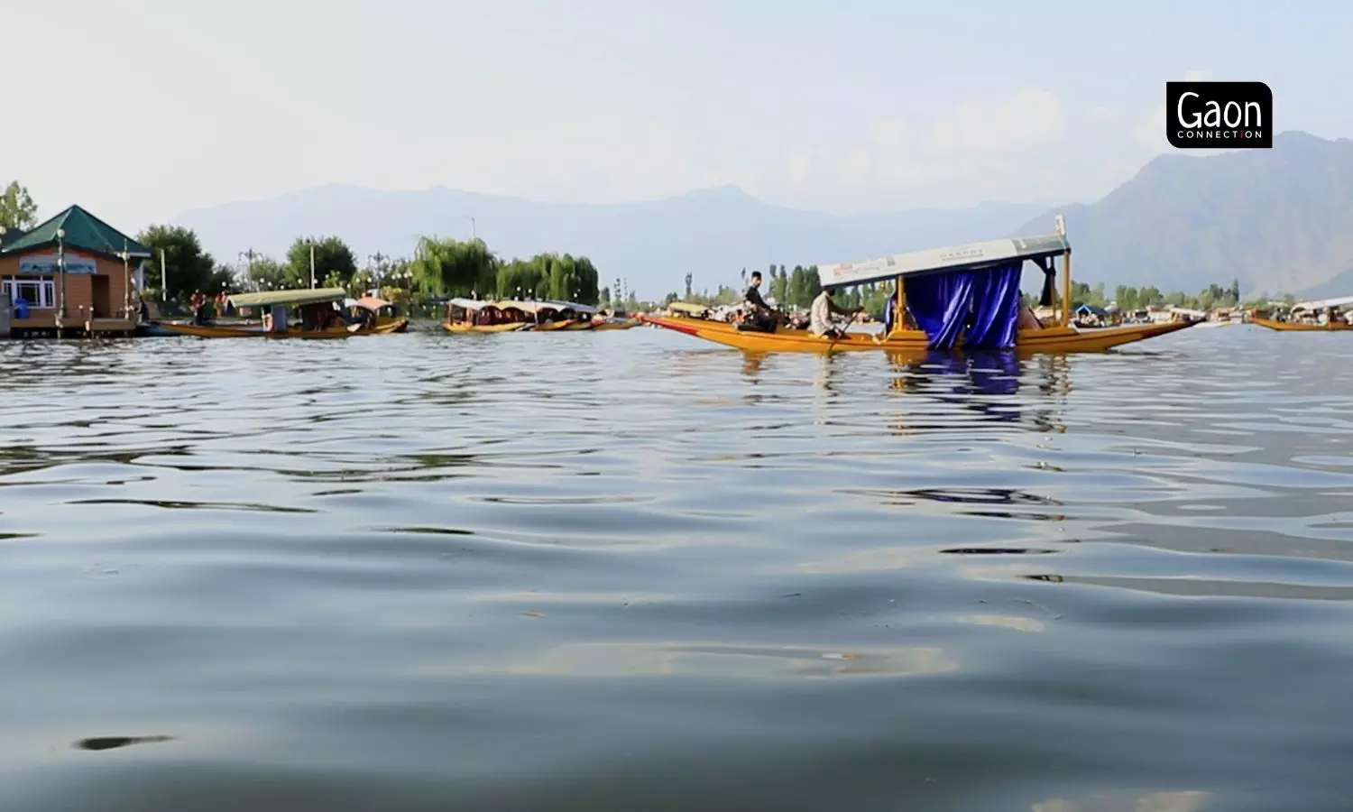 Horticulture is the mainstay of Kashmir’s economy with 700,000 families directly or indirectly associated with the sector. Horticulture is the mainstay of Kashmir’s economy with 700,000 families directly or indirectly associated with the sector.