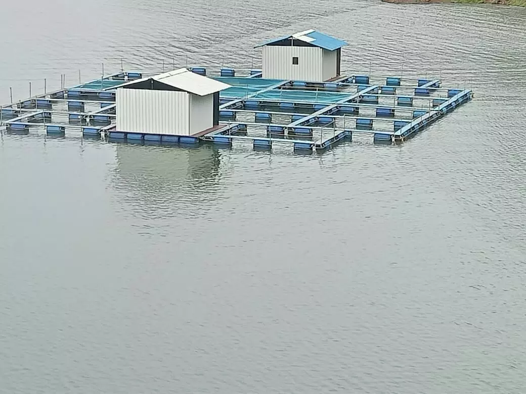 According to fishermen, it is difficult to catch fishes in deep waters of the reservoir as compared to catching them naturally in similar water bodies of comparable depth. According to fishermen, it is difficult to catch fishes in deep waters of the reservoir as compared to catching them naturally in similar water bodies of comparable depth.
