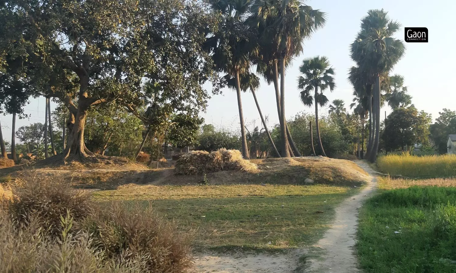 When the nationwide lockdown was announced in wake of the COVID-19 pandemic in March 2020, the youth of Hussainpur in Nalanda district of Bihar, somehow managed to return back home. When the nationwide lockdown was announced in wake of the COVID-19 pandemic in March 2020, the youth of Hussainpur in Nalanda district of Bihar, somehow managed to return back home.