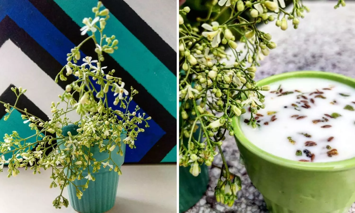 Neem is not just a sacred and medicinal tree but a shelter for birds, bees, squirrels, butterflies and insects of various kinds. Neem is not just a sacred and medicinal tree but a shelter for birds, bees, squirrels, butterflies and insects of various kinds.