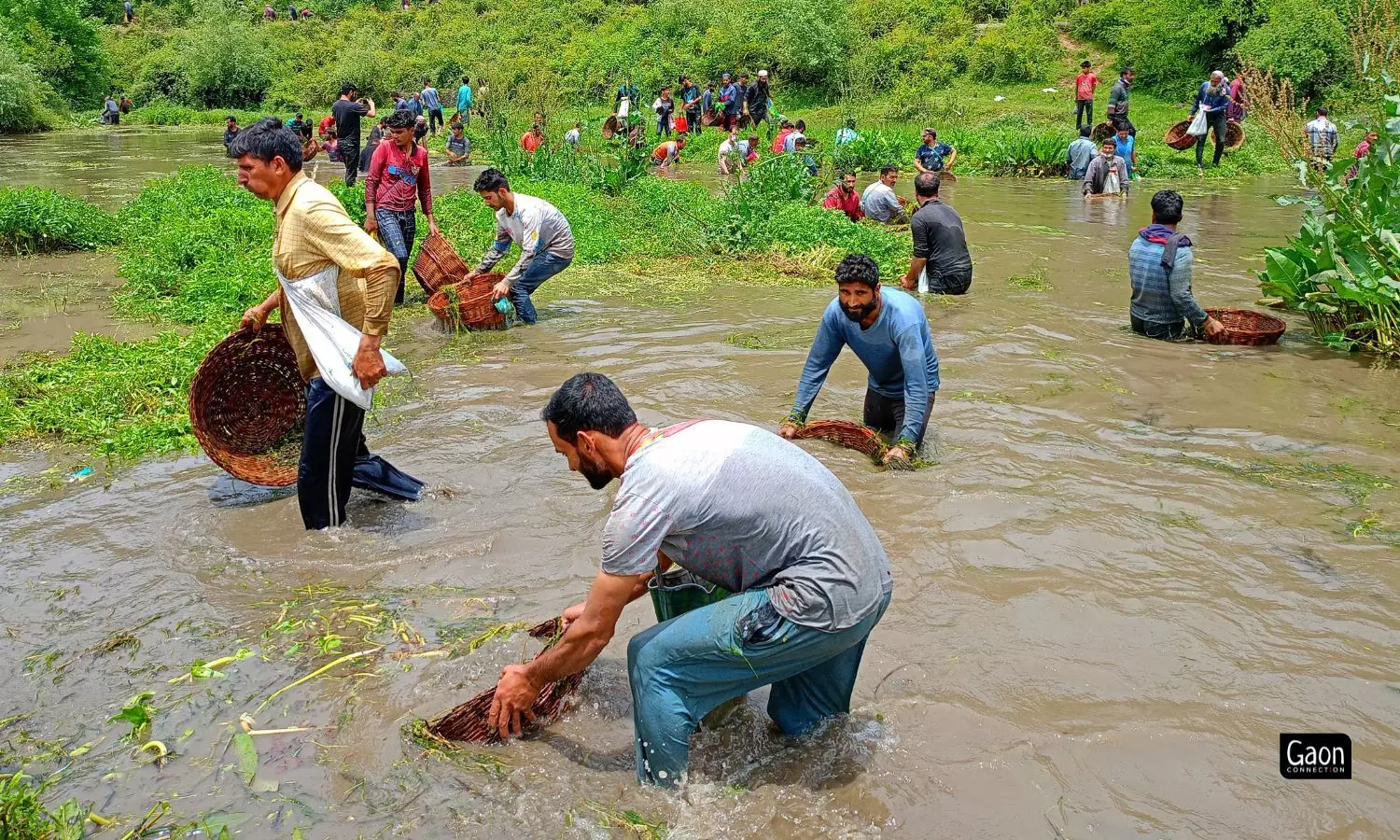 People waded into the Panzath Nag with wicker and plastic baskets and together cleaned the freshwater spring. People waded into the Panzath Nag with wicker and plastic baskets and together cleaned the freshwater spring.