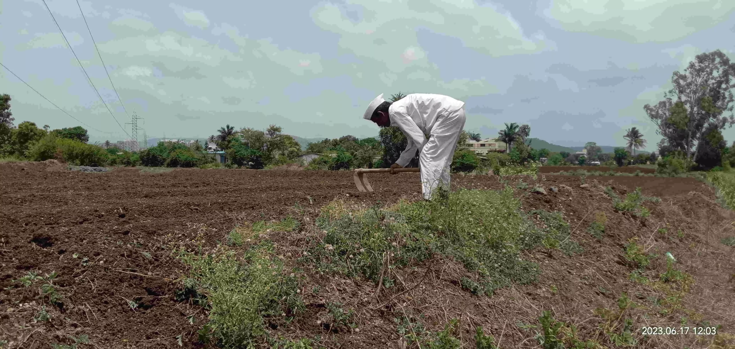 For the past few weeks, my wife and I have been toiling in the field to prepare it for sowing the kharif crop For the past few weeks, my wife and I have been toiling in the field to prepare it for sowing the kharif crop