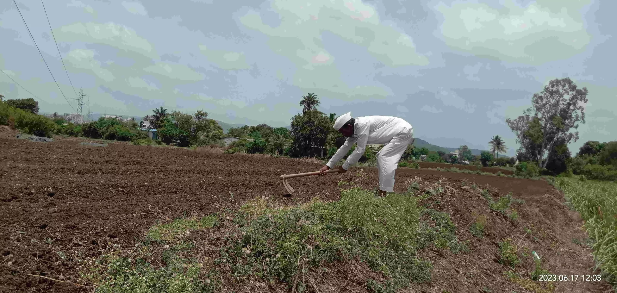 This week we are expecting rain, and hope we dont have to undertake double sowing This week we are expecting rain, and hope we dont have to undertake double sowing