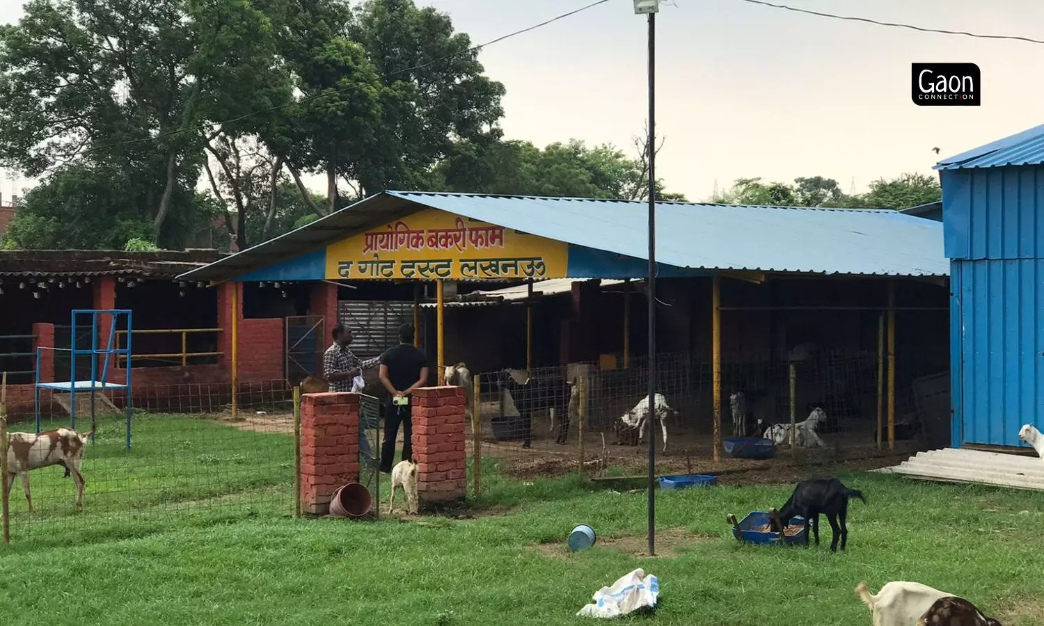 The Goat Trust works across the value chain of goat based products and aims to generate employment among rural women. The Goat Trust works across the value chain of goat based products and aims to generate employment among rural women.