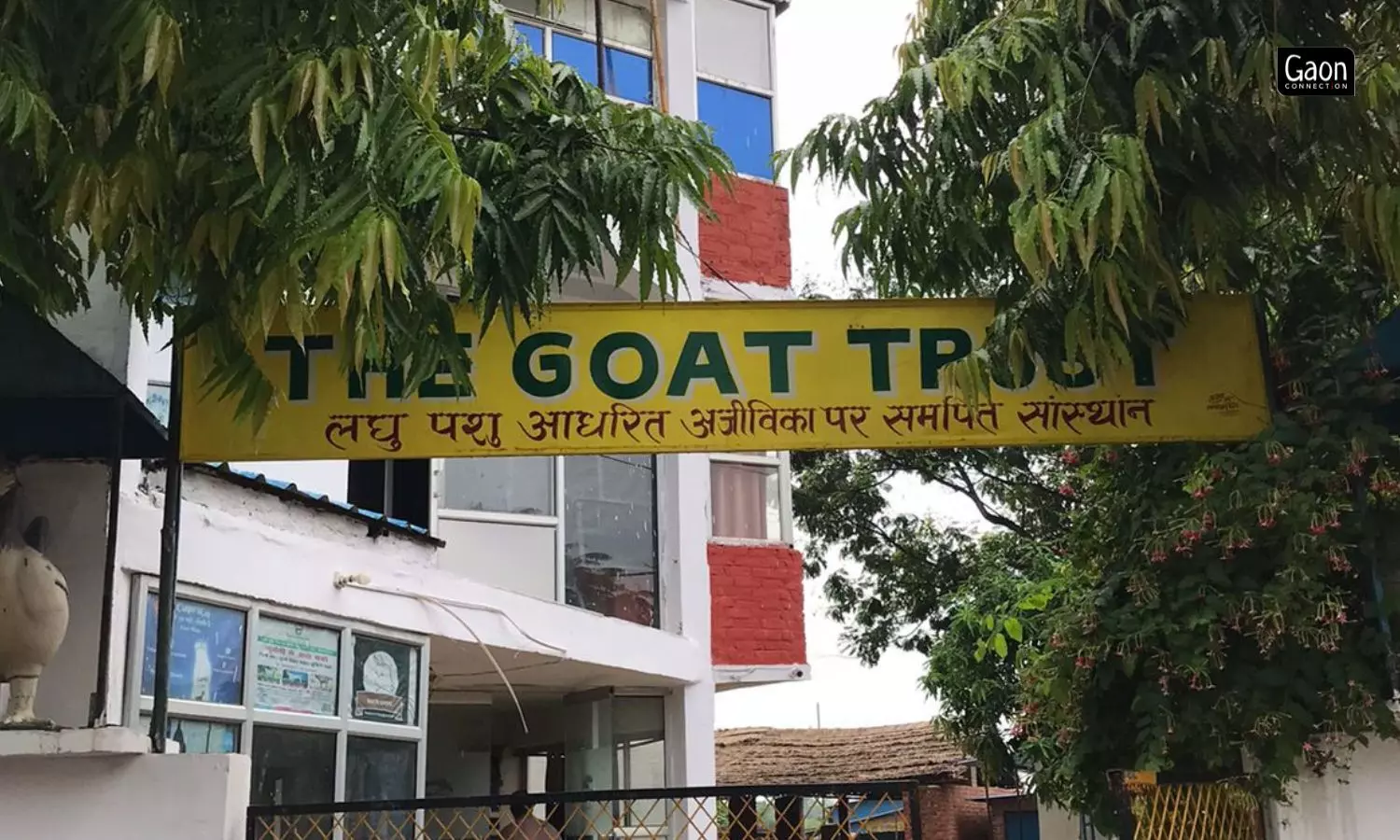 The Goat Trust has trained for free over 25,000 rural women as Pashu Sakhi. It also works with approximately 450,000 goat farmers across 18 states. The Goat Trust has trained for free over 25,000 rural women as Pashu Sakhi. It also works with approximately 450,000 goat farmers across 18 states.