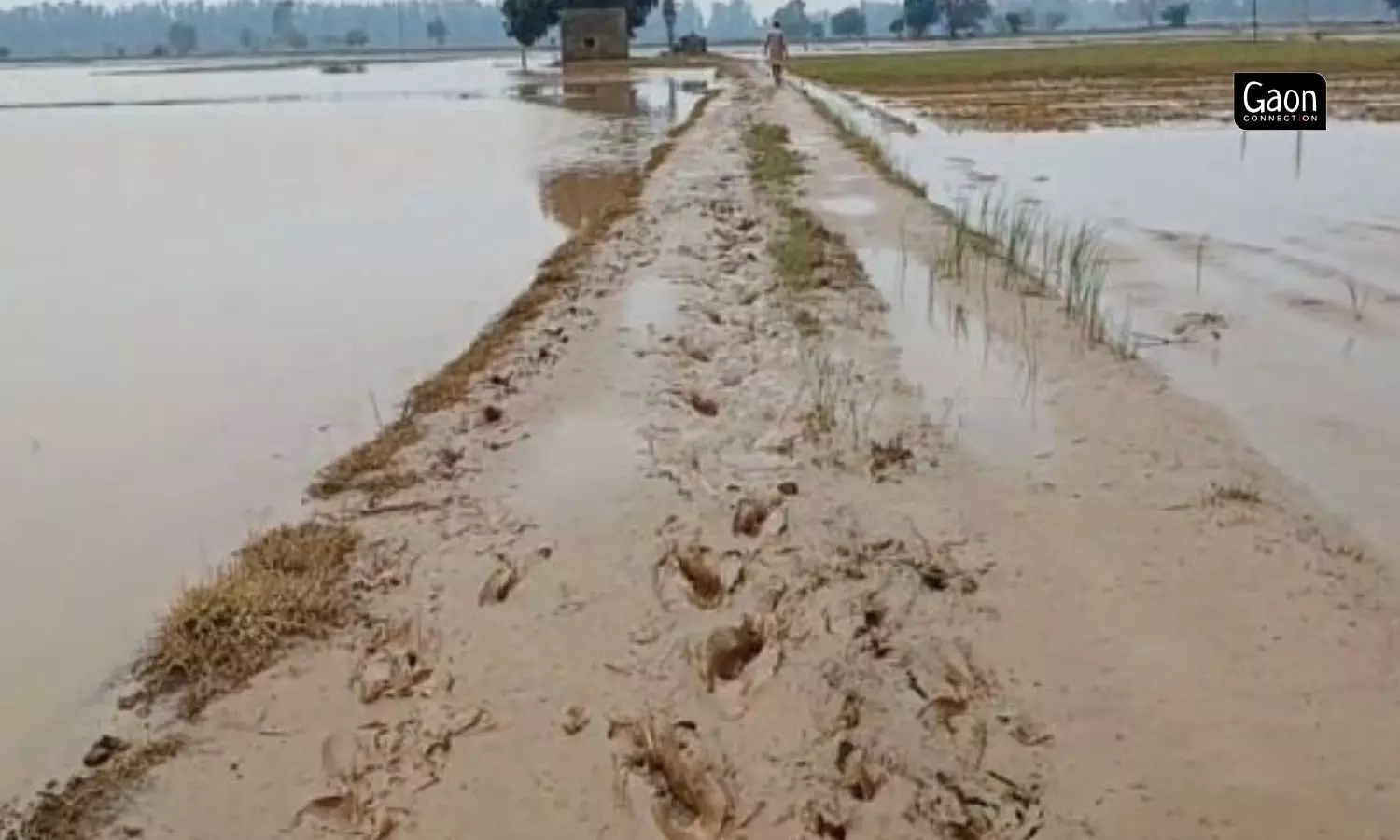 The flood fury may have abated and the waters receded, but it has left unspeakable chaos. The flood fury may have abated and the waters receded, but it has left unspeakable chaos.