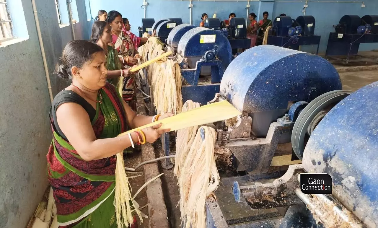 Hemlata Pandey, a Jeevika member from Madhubani district, told Gaon Connection that since 2020, training capsules are being held in several places teaching women how to extract fibres from the banana plant, and turn that into something useful. Hemlata Pandey, a Jeevika member from Madhubani district, told Gaon Connection that since 2020, training capsules are being held in several places teaching women how to extract fibres from the banana plant, and turn that into something useful.