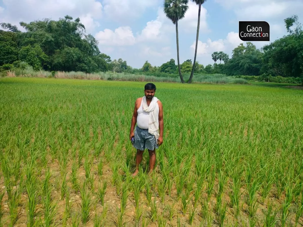 Nitish Kumar Yadav poses for a photograph in his field. Nitish Kumar Yadav poses for a photograph in his field.