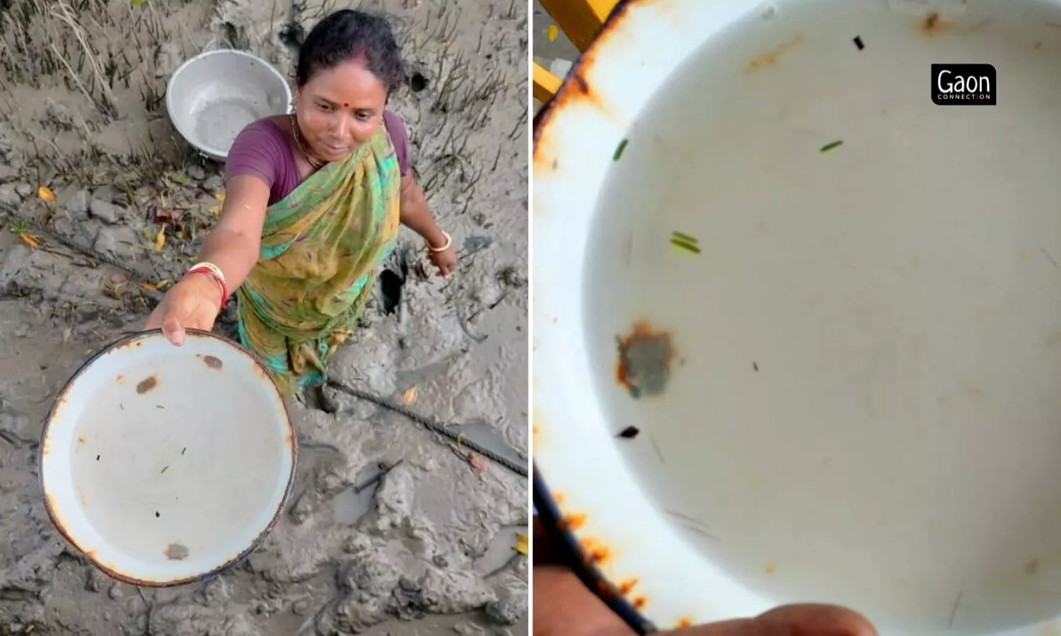 If these women aren’t careful, they can easily miss the brown hair-like prawn seedlings that are less than an inch-long. If these women aren’t careful, they can easily miss the brown hair-like prawn seedlings that are less than an inch-long.