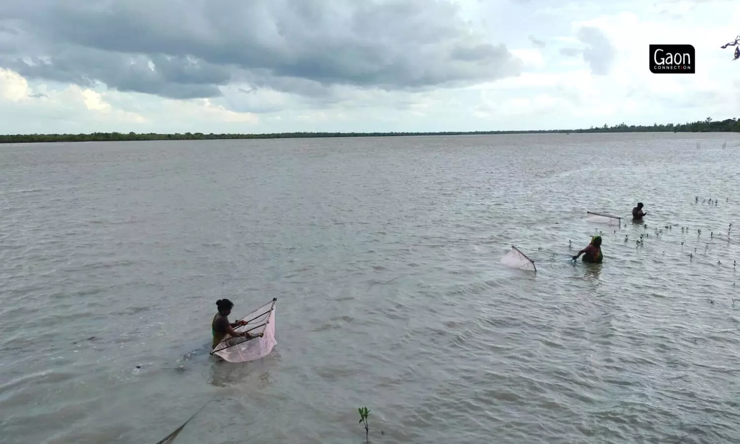 While the men coped with livelihood uncertainties mainly through seasonal out migration, women coped with whatever available livelihood options, such as prawn seedling collection. While the men coped with livelihood uncertainties mainly through seasonal out migration, women coped with whatever available livelihood options, such as prawn seedling collection.