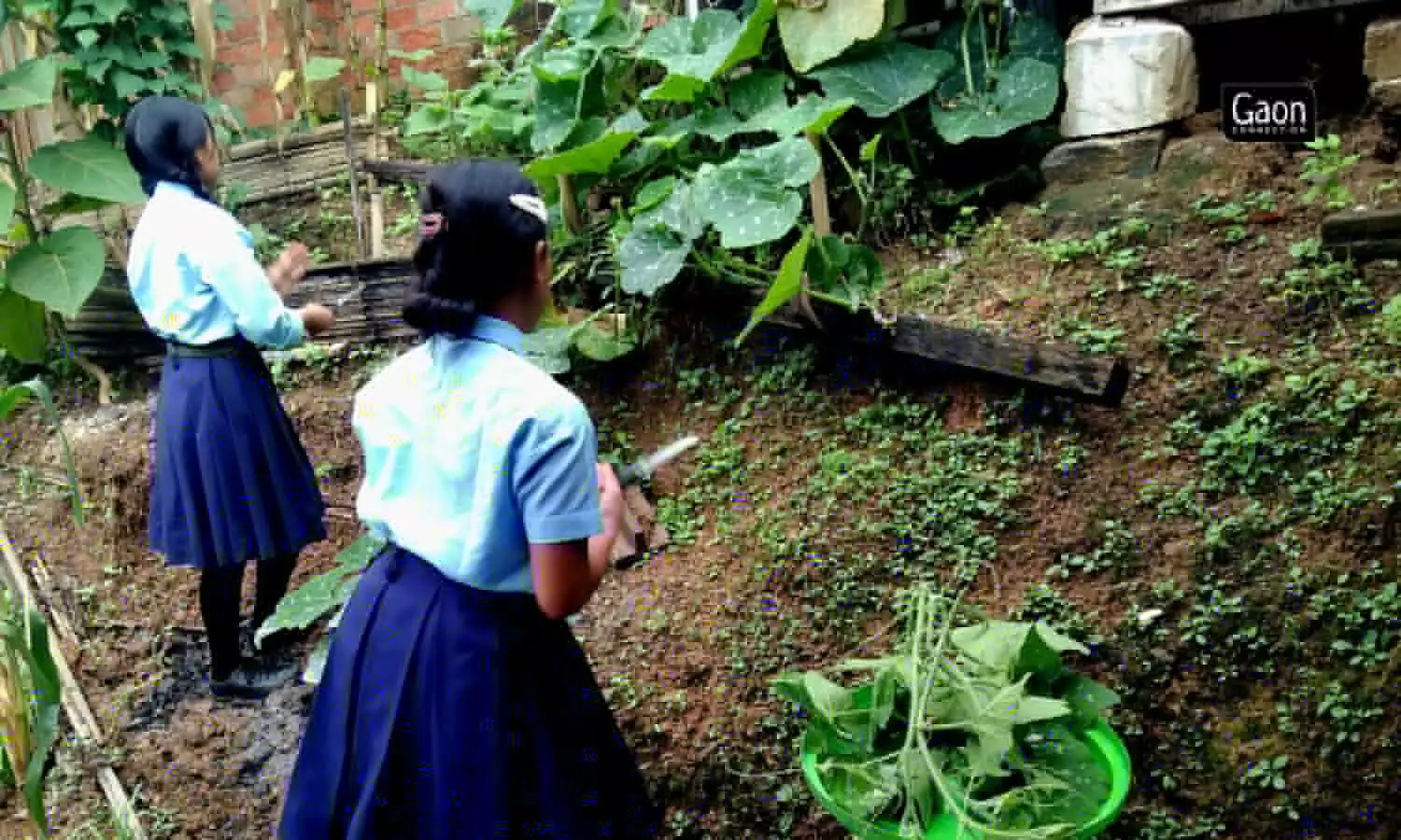 The kitchen garden is an out-of-the-box initiative, it has brought the teachers and students under a single roof. The kitchen garden is an out-of-the-box initiative, it has brought the teachers and students under a single roof.