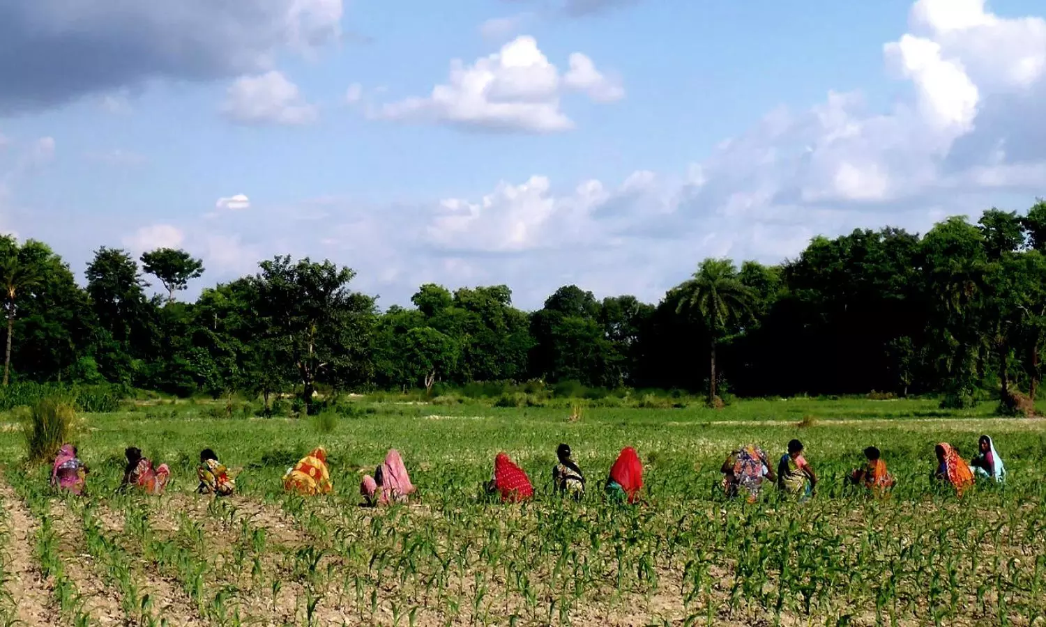 Bulky pumpsets that are difficult to move are liable to be stolen and that is an added worry for farmers. Photo by arrangement. Bulky pumpsets that are difficult to move are liable to be stolen and that is an added worry for farmers. Photo by arrangement.