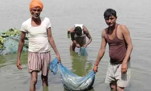 #Fisheries