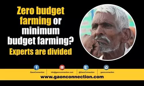 #Zerobudgetfarming