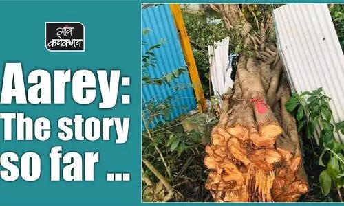#aarey