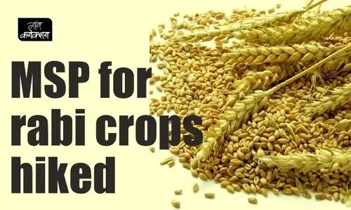 #wheat