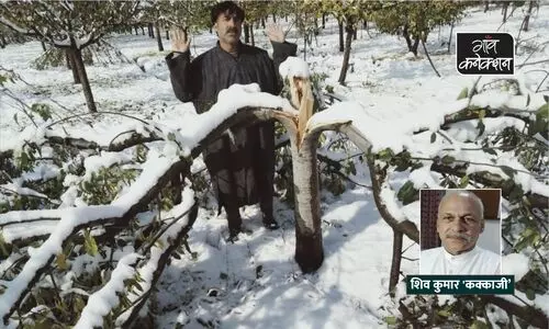 #indian farmers