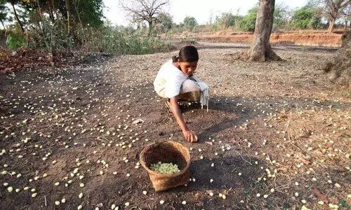 #Chhatisgarh