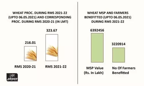 wheat procurement
