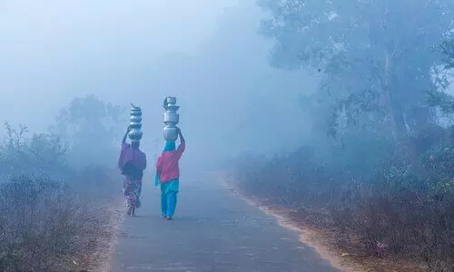 #fog