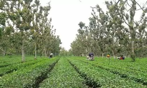 kishanganj