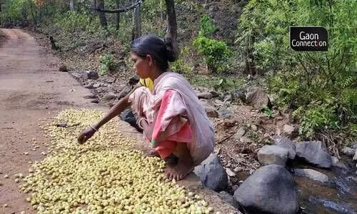 #Mahua