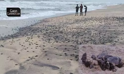 #Odisha