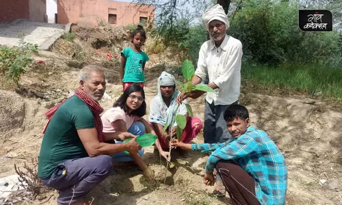 #plantation