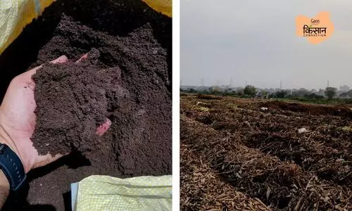 #ChemicalFertiliser