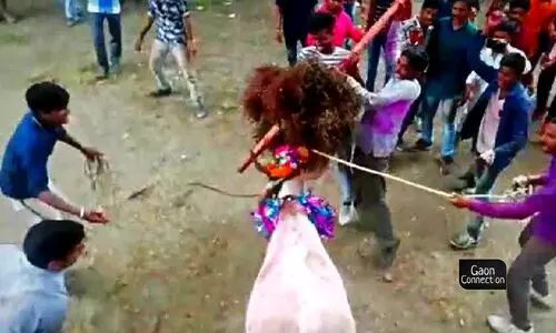 #Cows