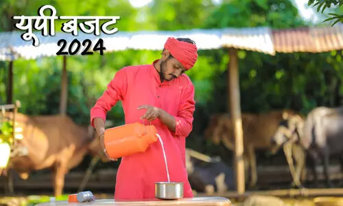 up budget 2024