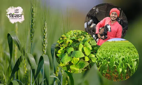 Kisaan Connection