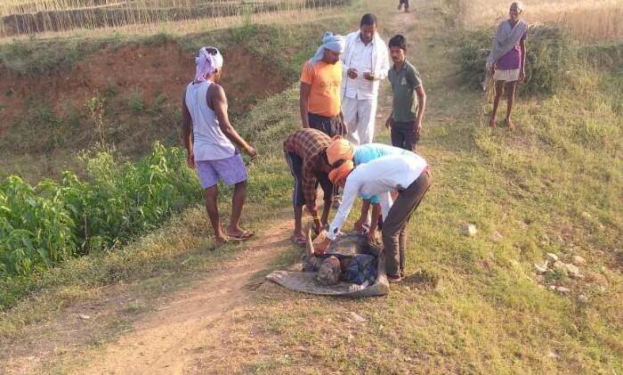 मलबे से महिला को निकालने के बाद अस्पताल पहुंचाया गया।