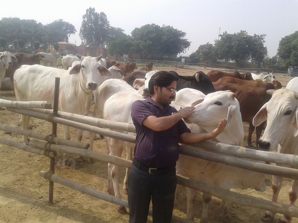 गोमूत्र और गाय के दूध का काम करने वाले सुशील अवस्थी।