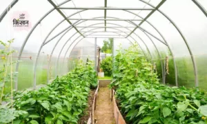 #horticulture